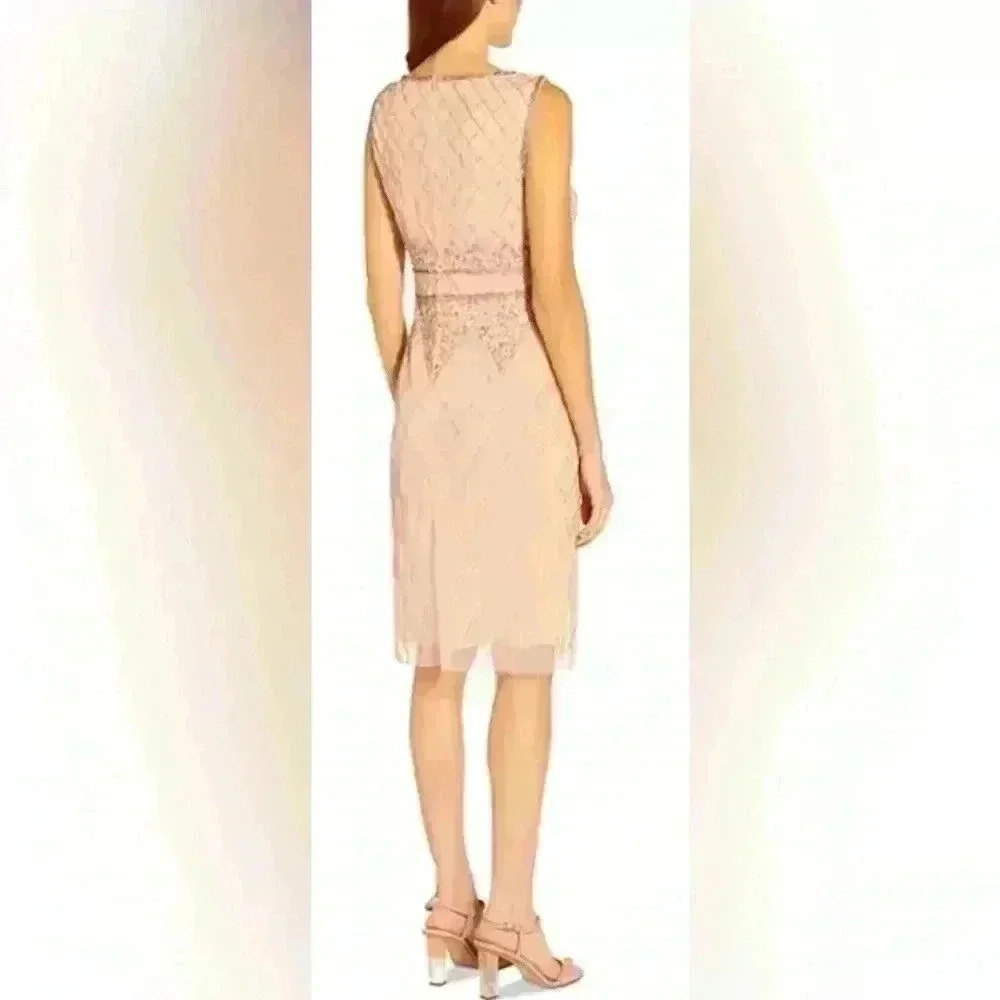 Adrianna Papell Blush Lace Dress - Picture 2 of 16